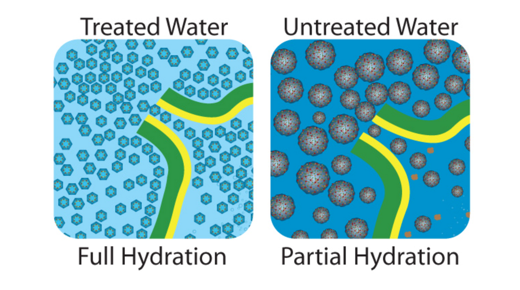 tussen gemagnetiseerd water met kleine moleculaire clusters en onbehandeld water met grotere, minder actieve moleculen.